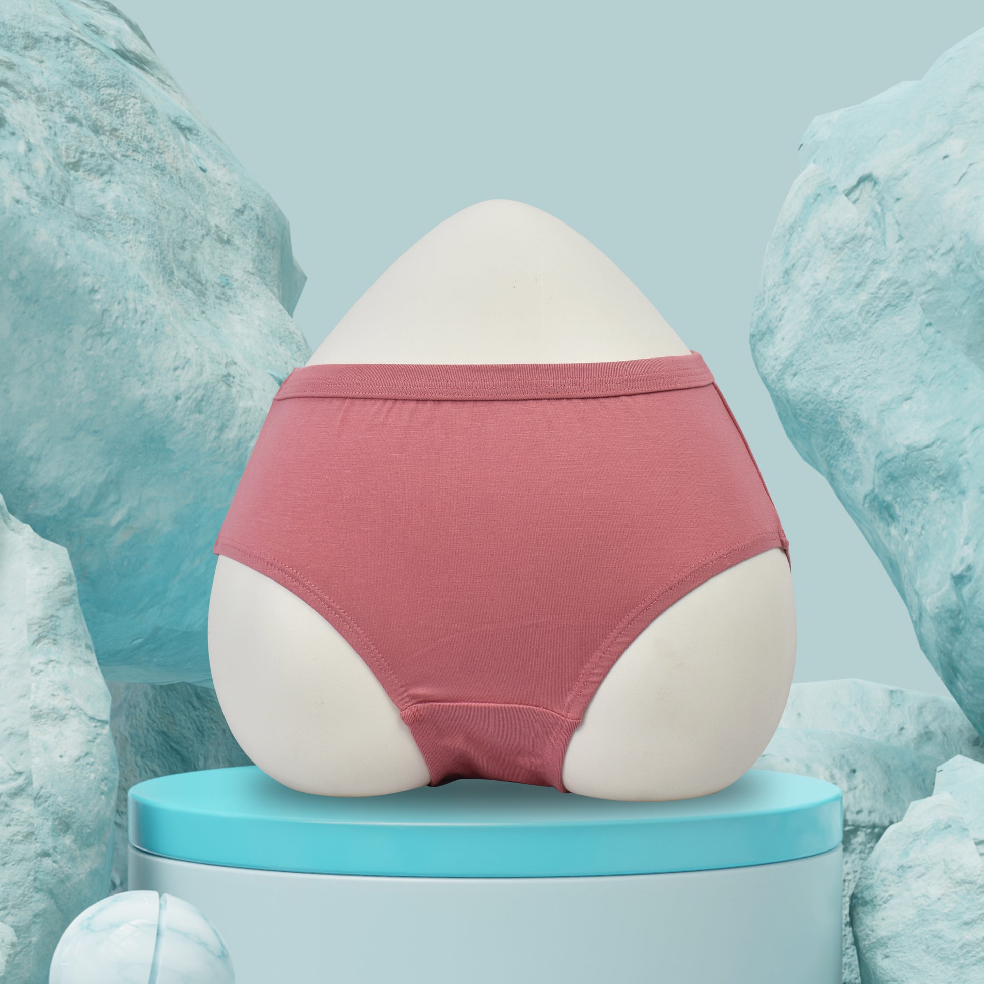 Modal Panties inner Elastic (Fabric : Modal)