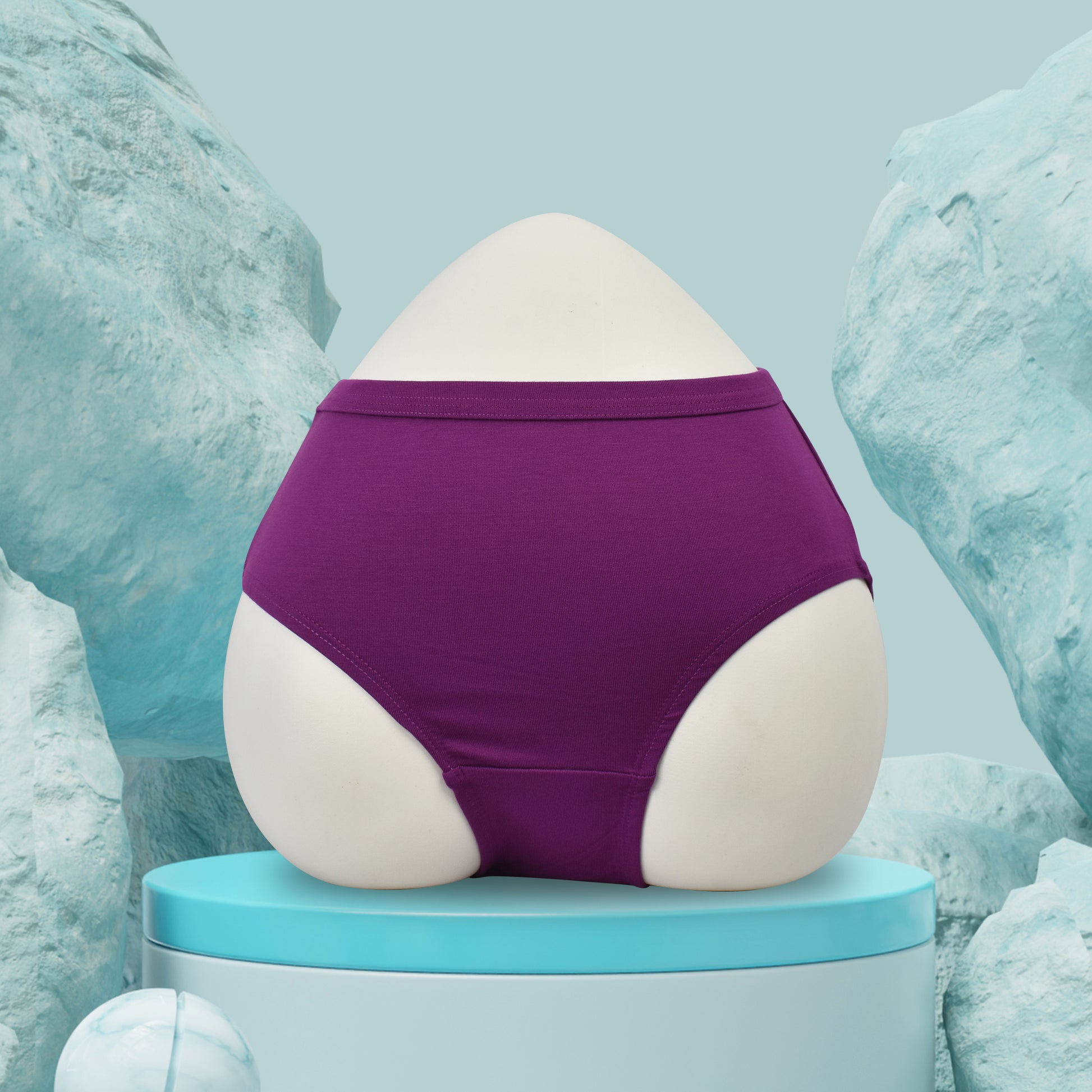 Modal Panties inner Elastic (Fabric : Modal)