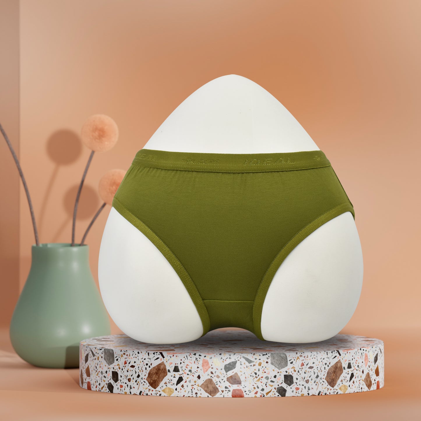 Modal Panties Outer Elastic (Fabric : Modal)