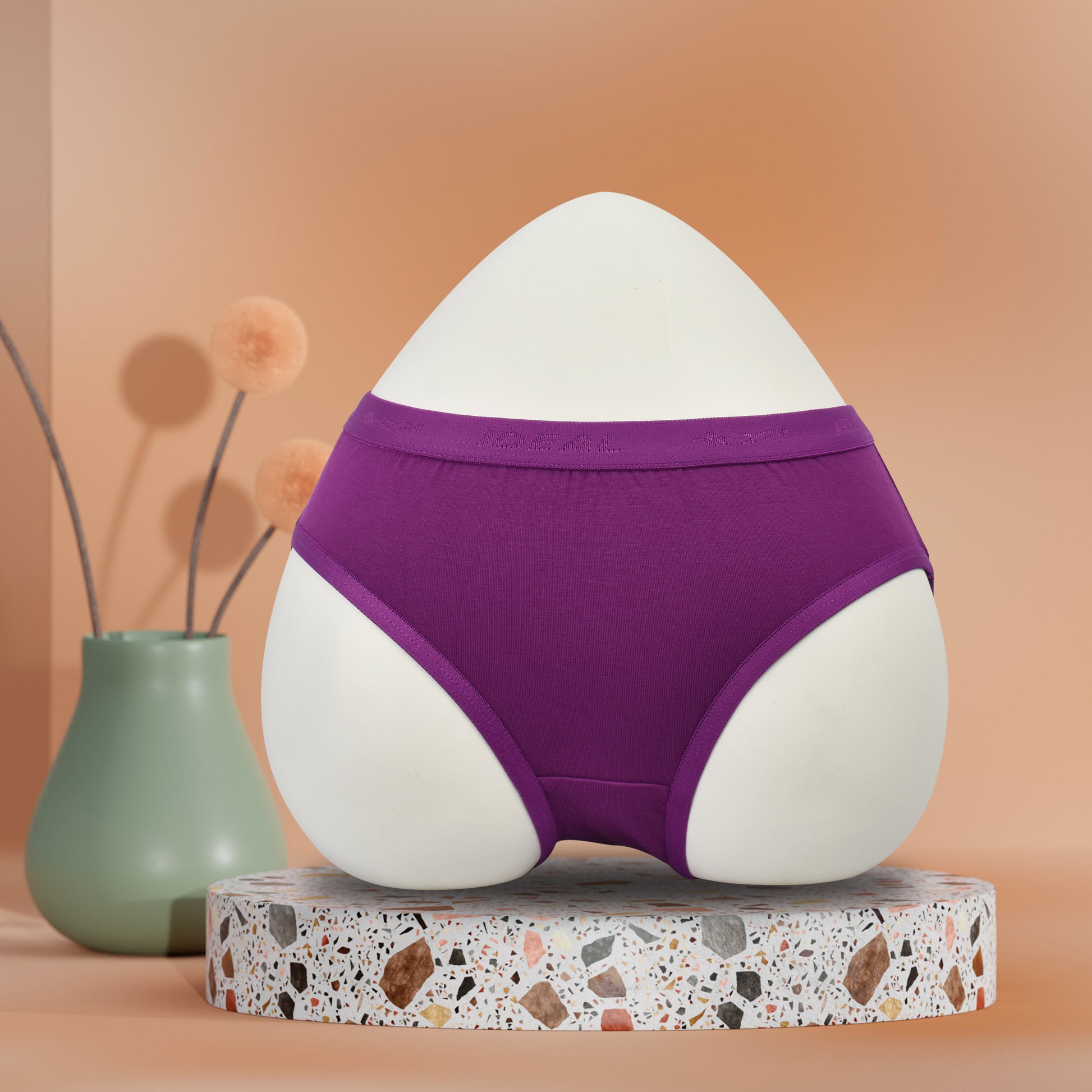 Modal Panties Outer Elastic (Fabric : Modal)