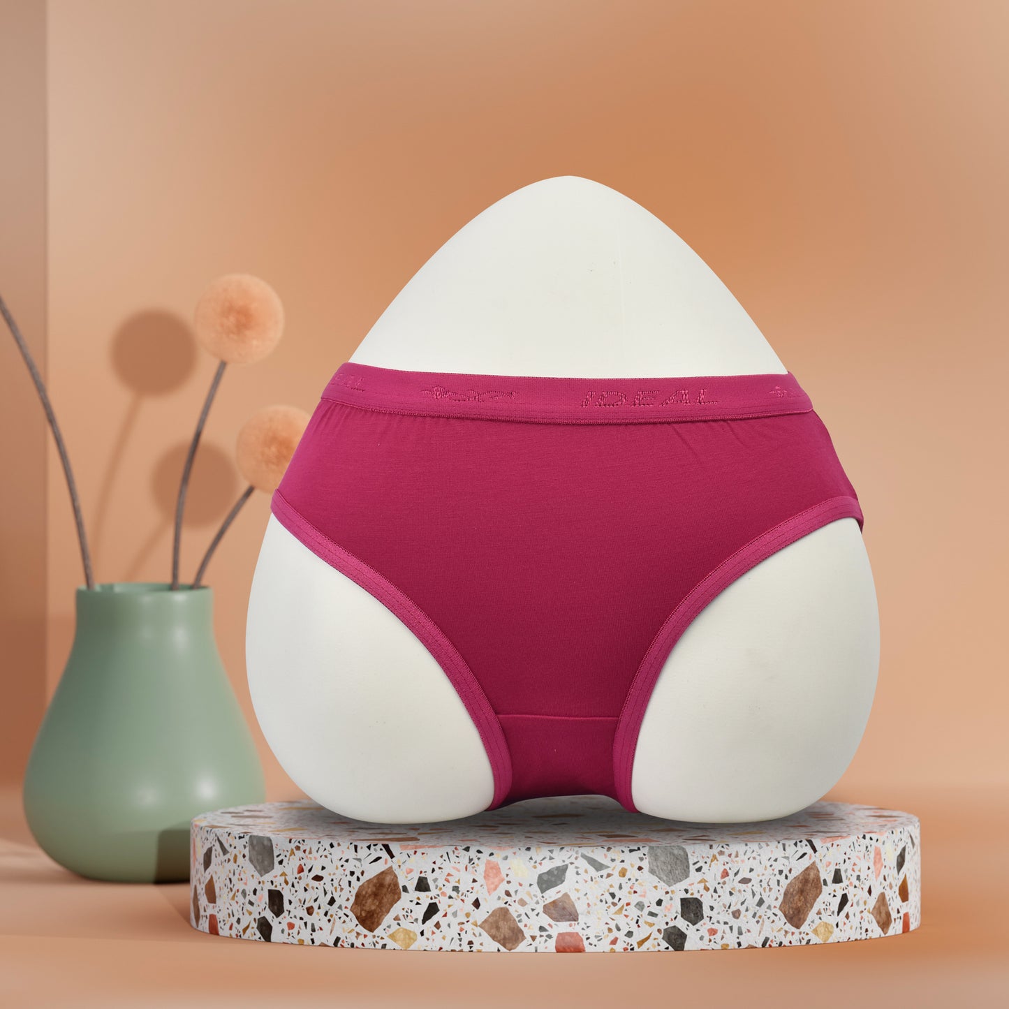 Modal Panties Outer Elastic (Fabric : Modal)