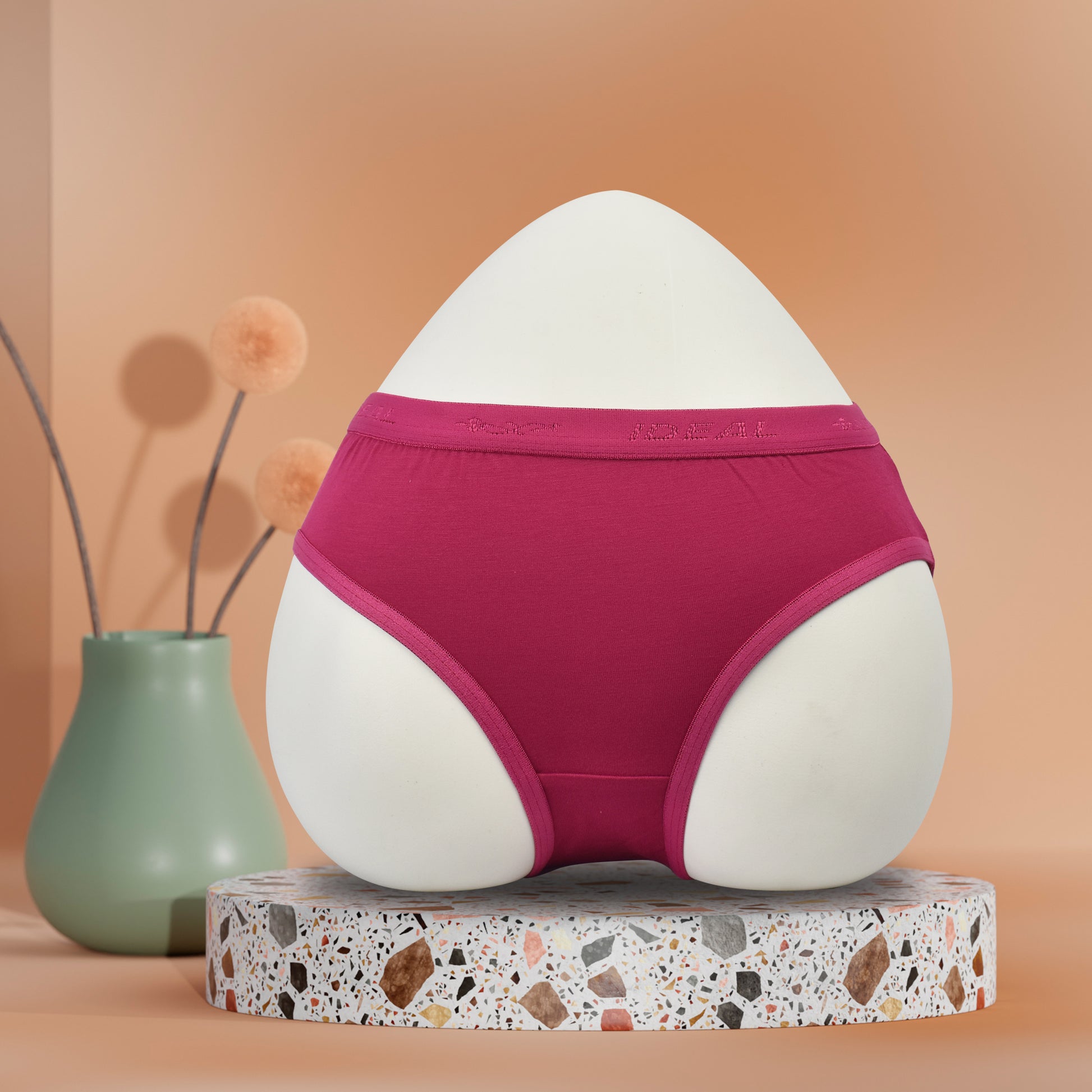Modal Panties Outer Elastic (Fabric : Modal)