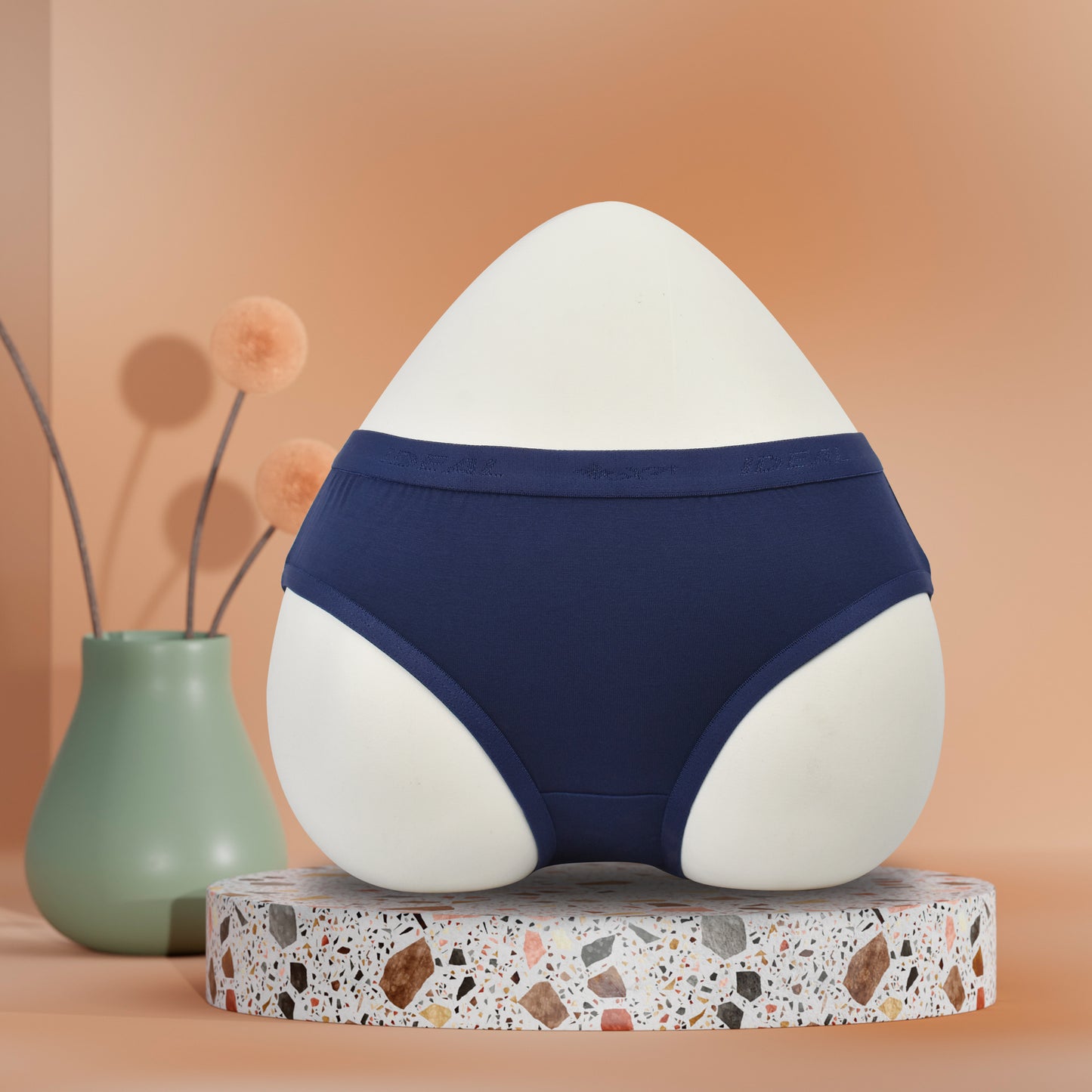 Modal Panties Outer Elastic (Fabric : Modal)