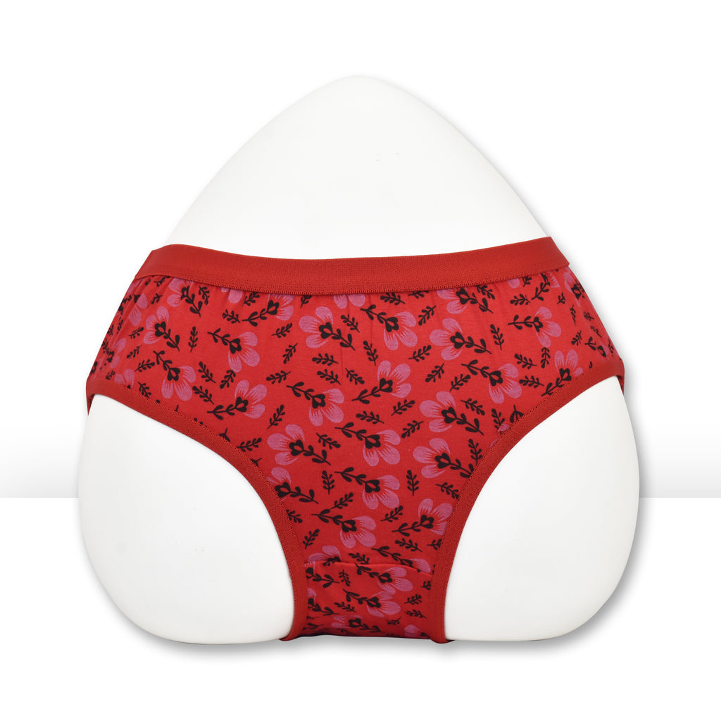 Jass Print Panty Outer Elastic