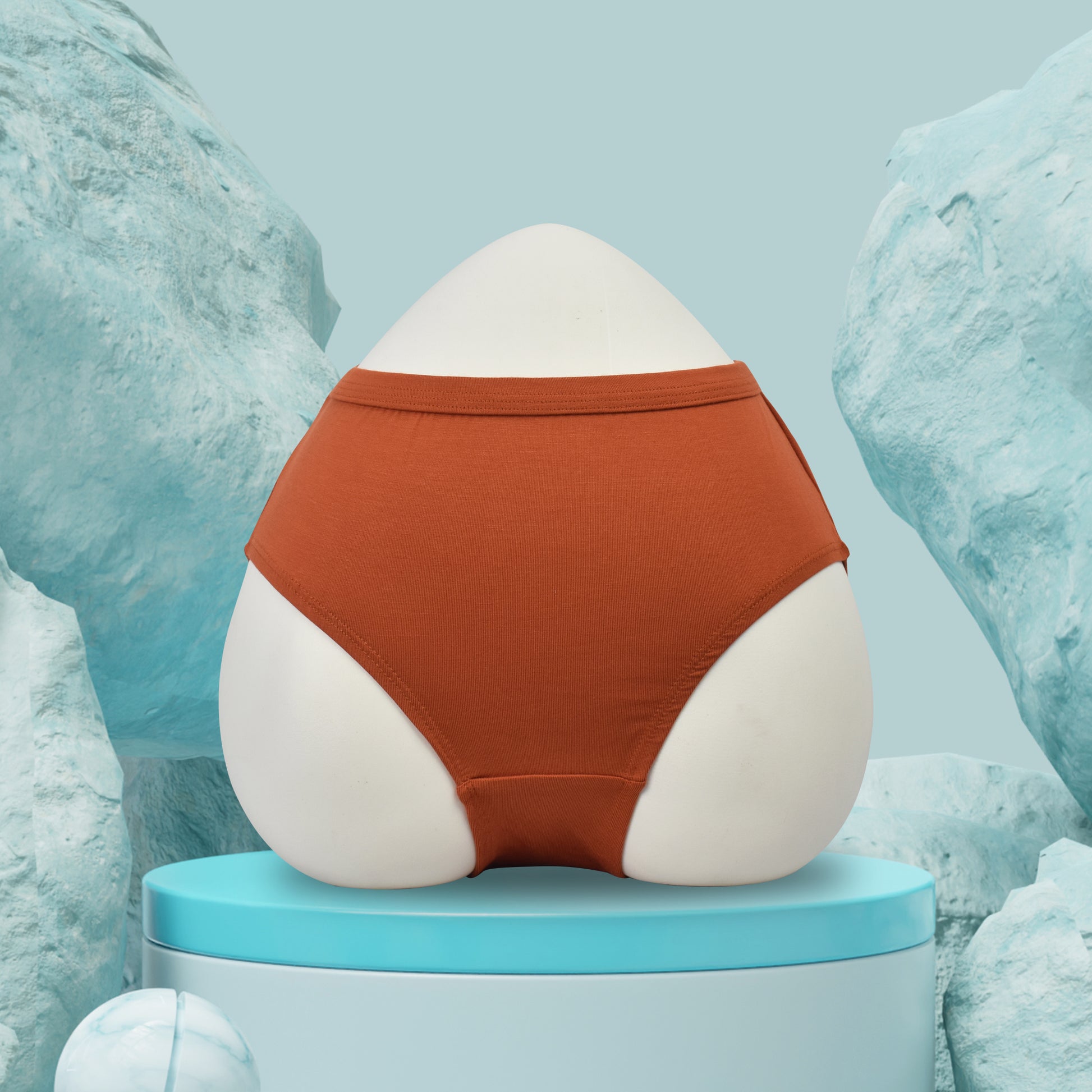 Modal Panties inner Elastic (Fabric : Modal)