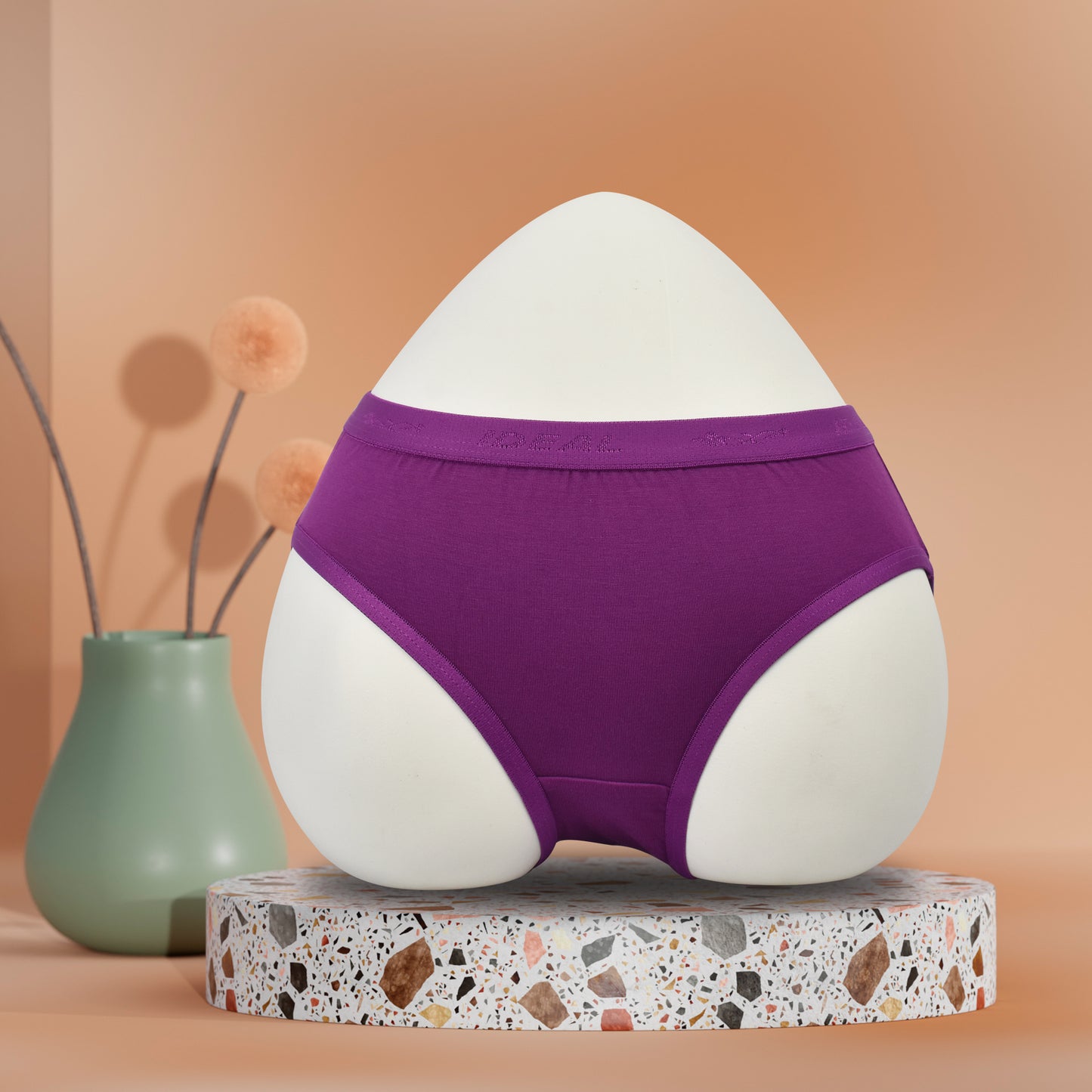 Modal Panties Outer Elastic (Fabric : Modal)