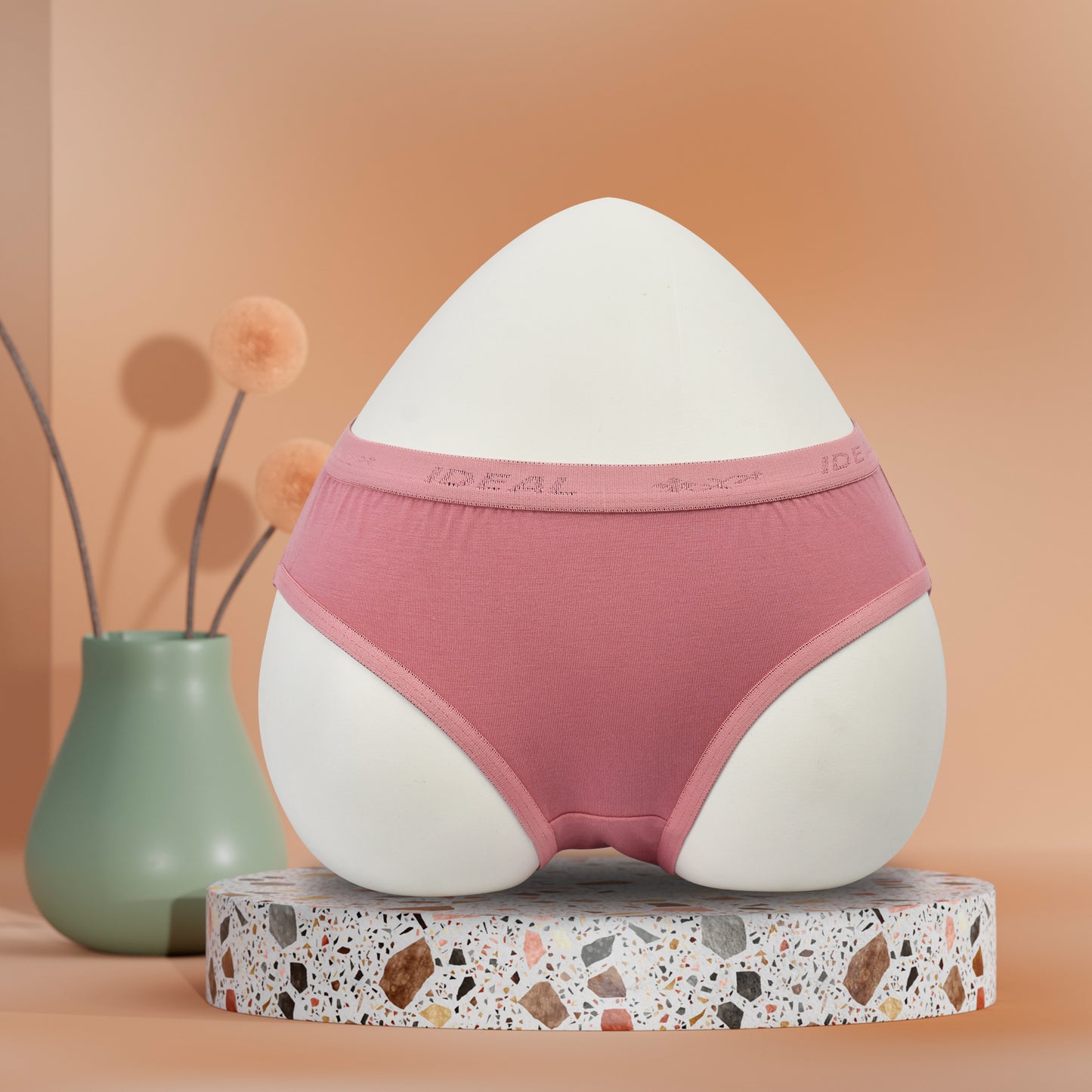 Modal Panties Outer Elastic (Fabric : Modal)