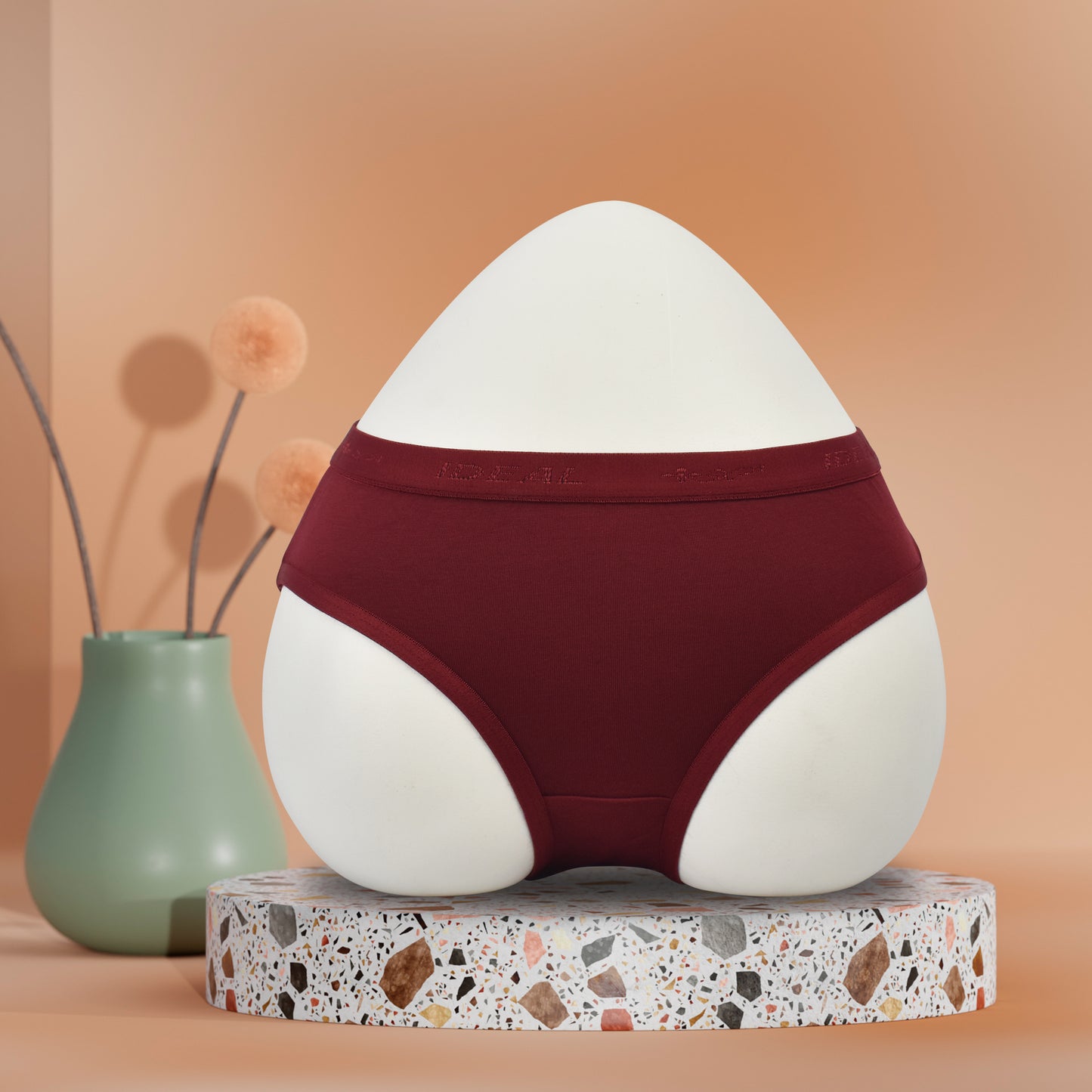 Modal Panties Outer Elastic (Fabric : Modal)