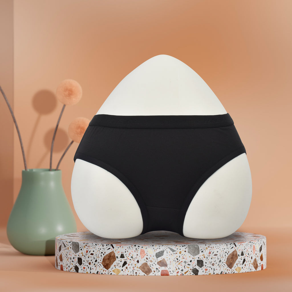 Modal Panties Outer Elastic (Fabric : Modal)