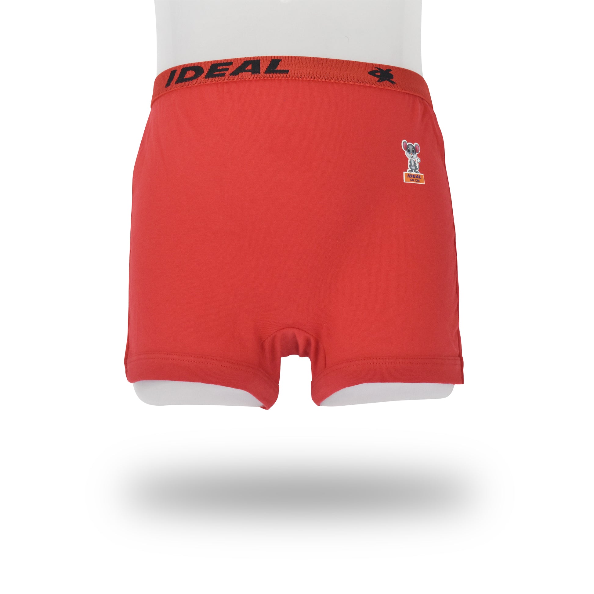 Nice Drawer Outer Elastic ( BOYS & GIRLS )