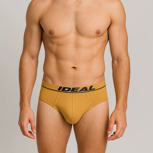 Premium Brief Outer Elastic